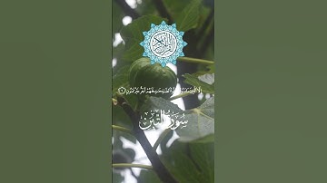 "سورة التين… الرسالة التي لا يريد البعض أن يسمعها!"