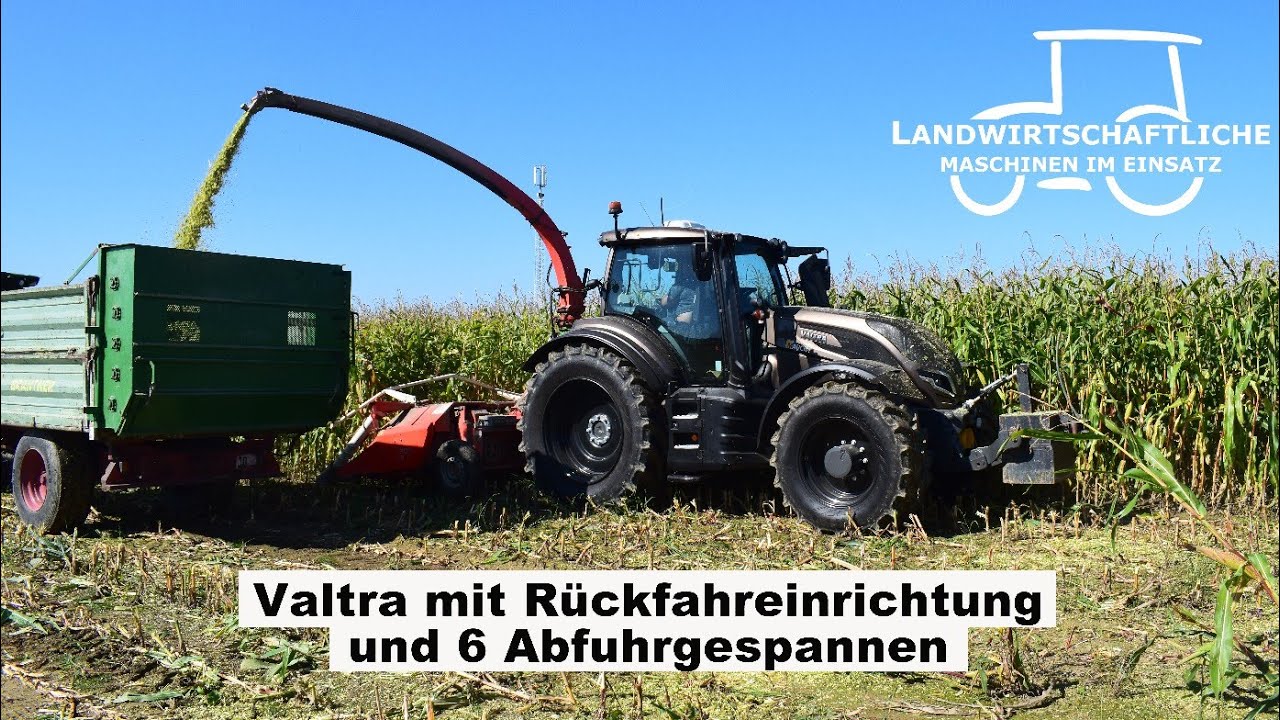 Maishäckseln mit einem Valtra T235 + Kemper 4 Reiher Maisgebiss | Maisernte 2021 | Diverse Traktoren
