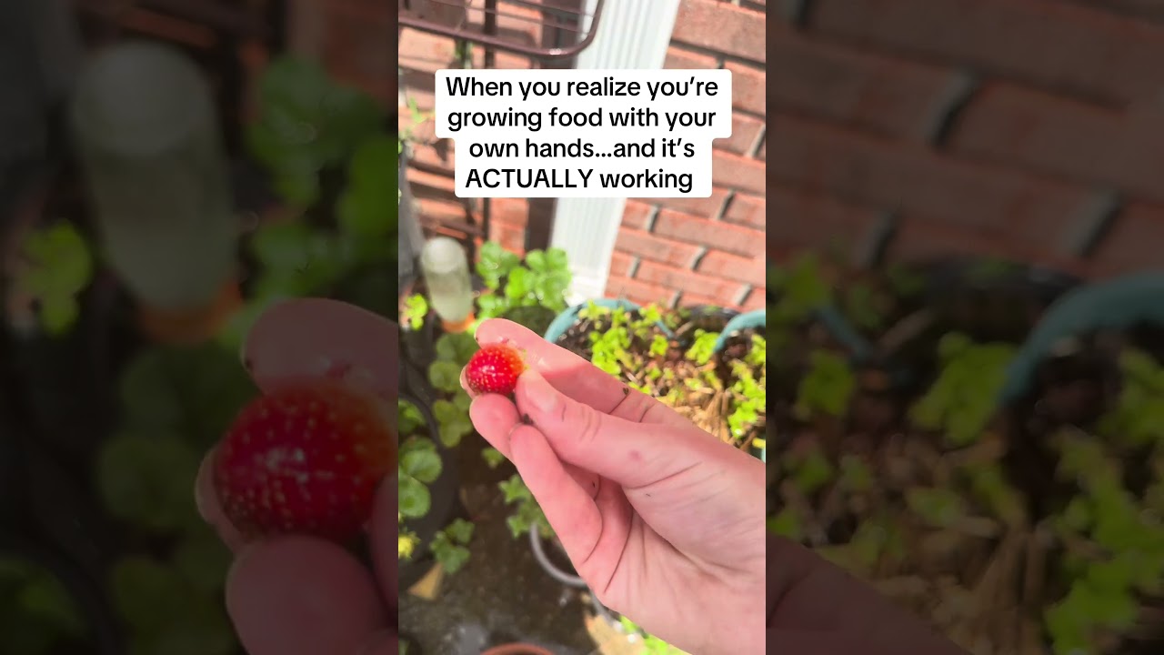 When you realize “I did this” 🥹🌱 