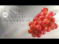 【おいしい未来へ やまなし】山梨県オリジナル品種「サンシャインレッド」(PR)