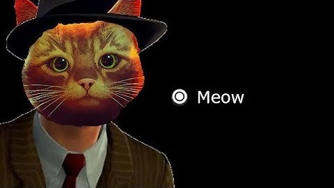 This is how STRAY was made