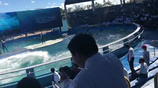 Miami sequarium 5000 role model