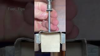 tool tip #trending #facts #viralvideo #sorts #wildlife #tooltips Net Worth