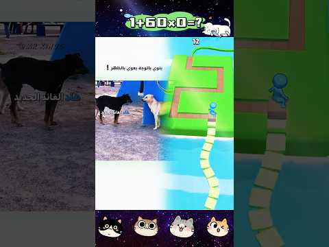 ينوي بالوجه يعوي بالظهر دبلجة مضحكة اكسبلور السعودية دوبلاج   