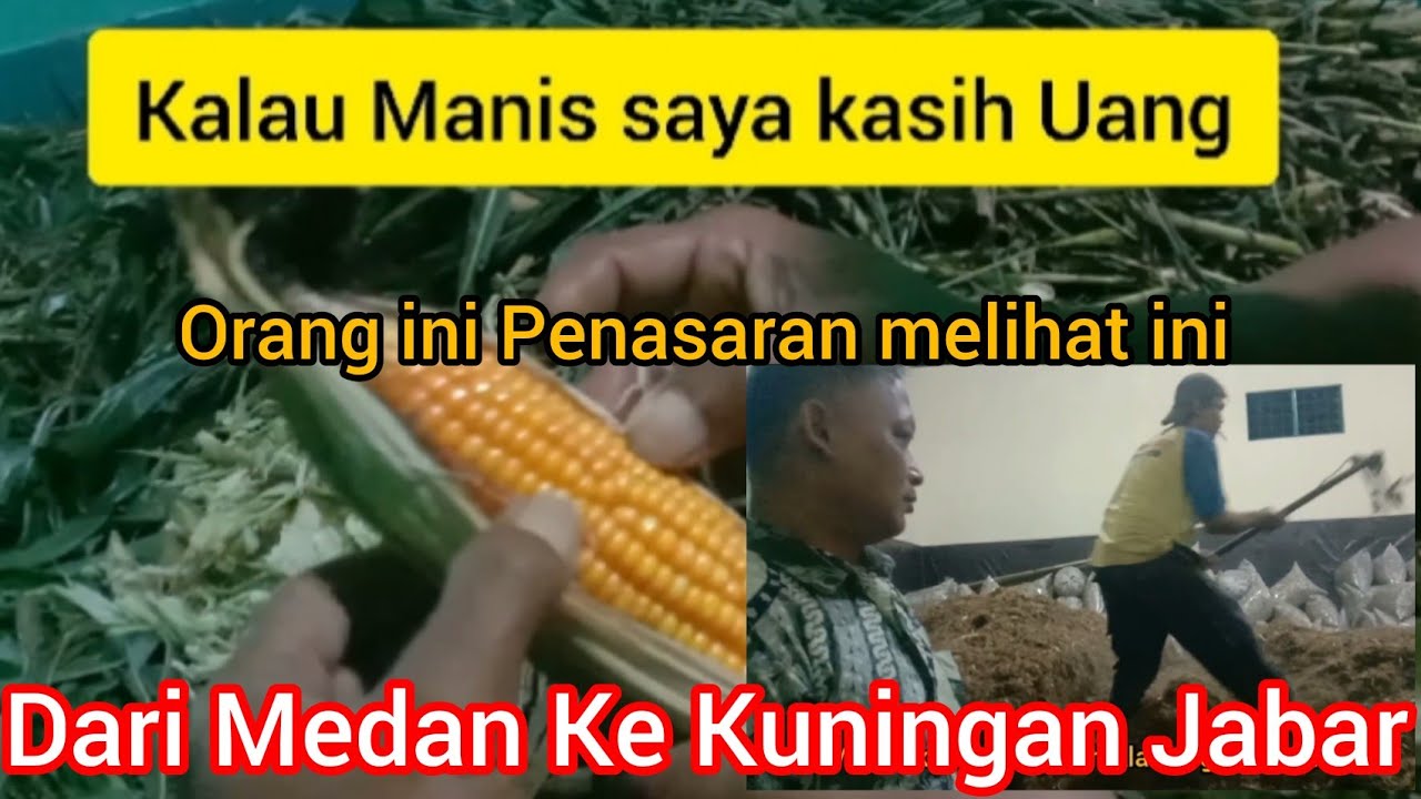 Dari Medan Ke Kuningan Jabar Bersama Bang Solihin||CV Anugerah Alam cigugur