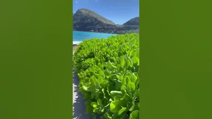 mini vlog  #hawaii #oahu #minivlog #blackgirlmagic...