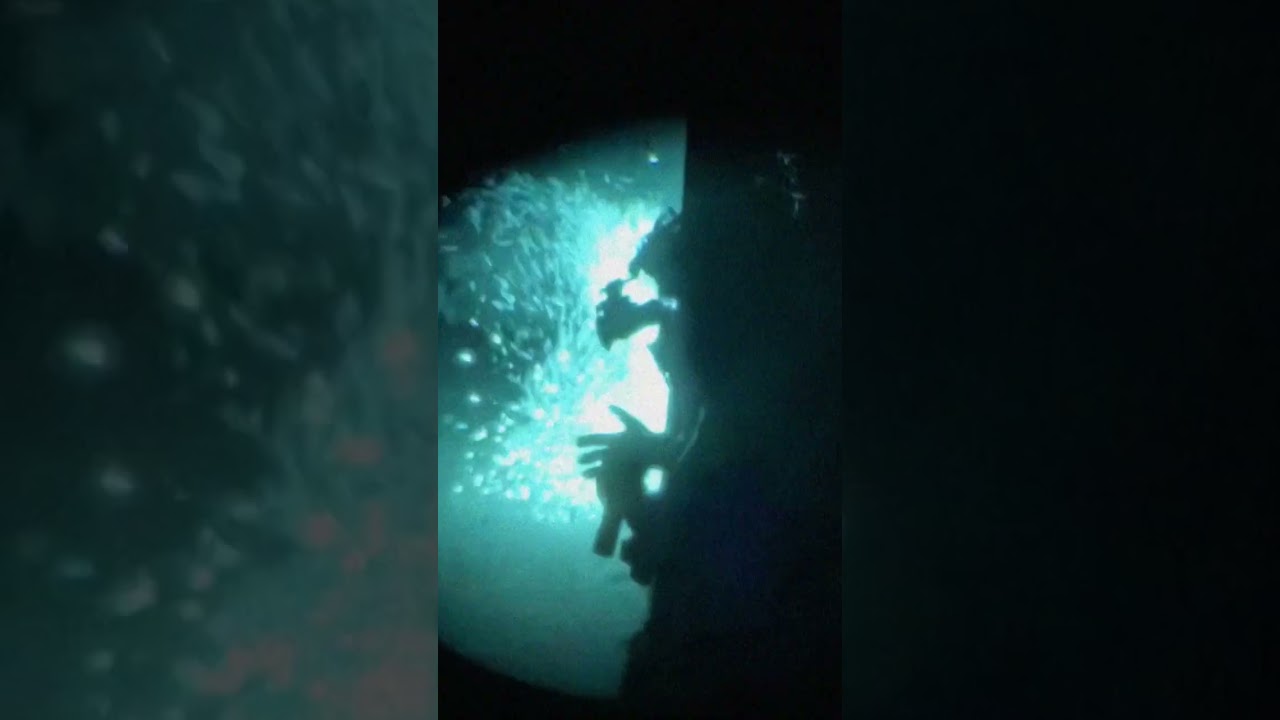 Elite strike in seconds! 