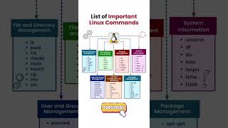 Essential Linux Commands Every Beginner Must Know ⚡🐧 #linux #terminal #cybersecurity #hacker k