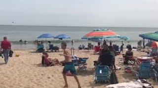 VIDEO NOW: Shark Sighted at Misquamicut Beach