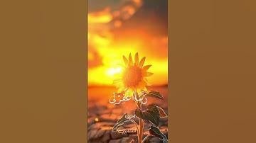 رَبِّ اجْعَلْنِي مُقِيمَ الصَّلَاةِ وَمِنْ ذُرِّيتي سورة ابراهيم القارى محمد صديق المنشاوي