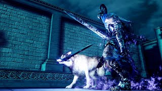 Artorias & Sif VS All Darkwraiths