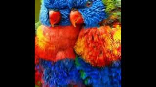 Status WA Keren menunggumu