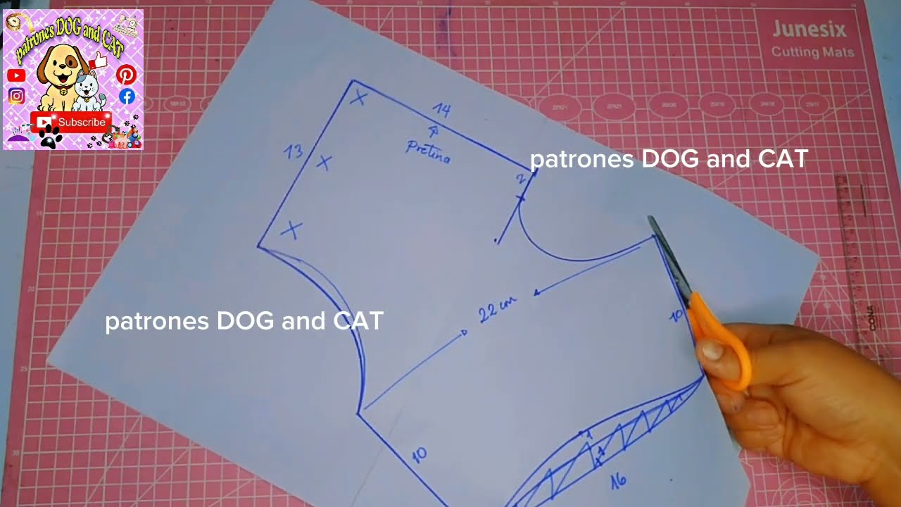 MODIFICACIÓN Y CORRECCIÓN DEL MOLDE PANTALÓN DE PERRITO