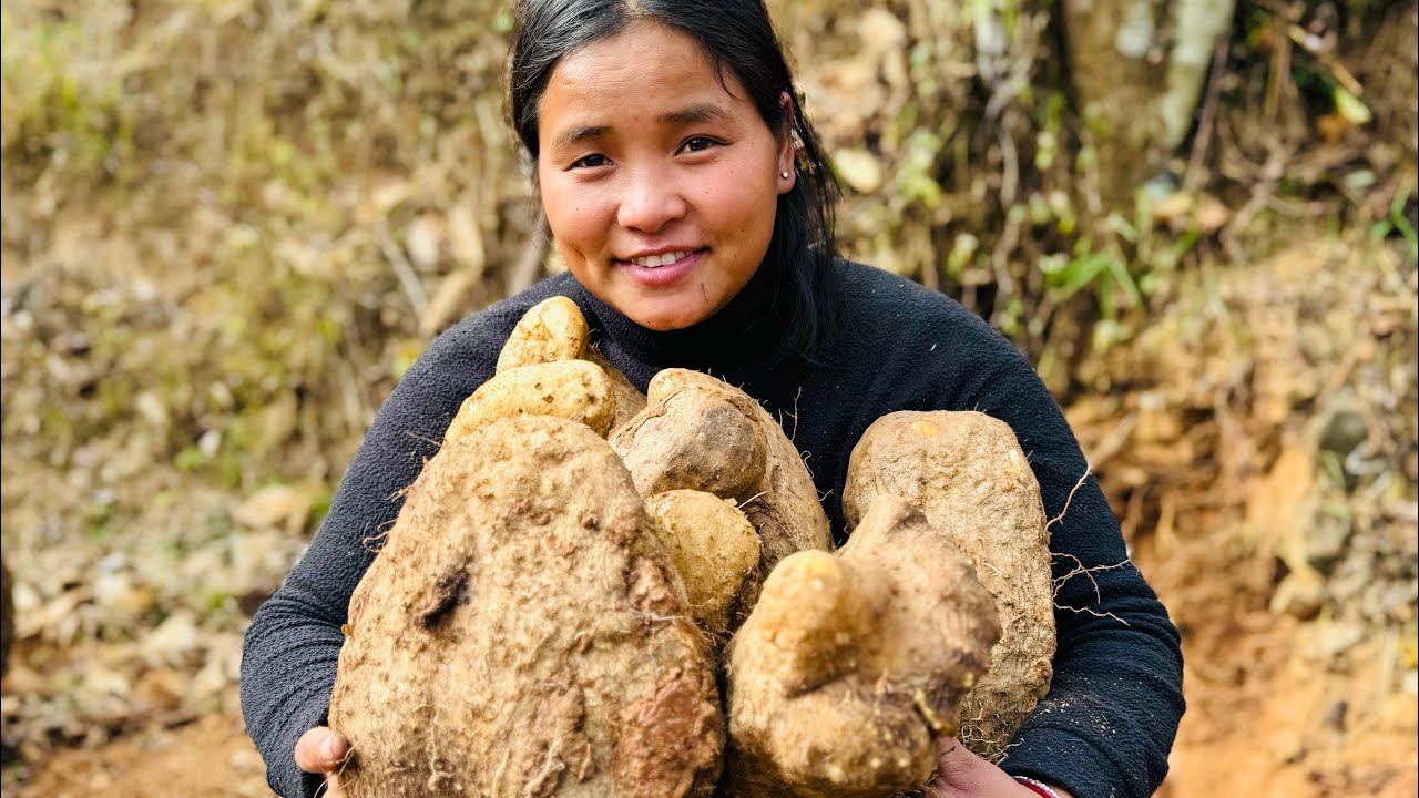 Maghesankrantiko lagi tarul khandai….ani xori padni bau lajaune😆😆#siruthapamagar#villagelife#vlog
