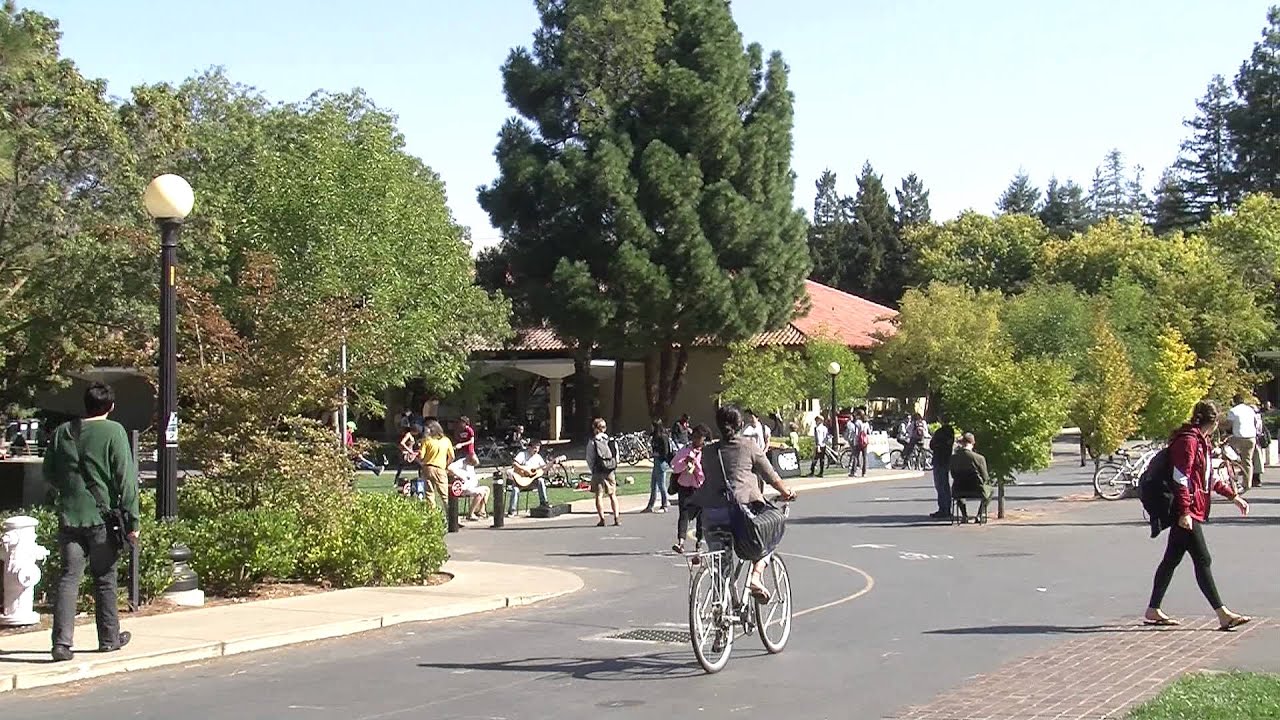 stanford cycling club