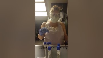 Environmental influences on microbial growth - salt tolerance testing part 1