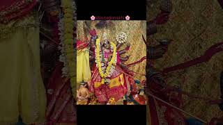 jai maa banglamukhi #fypシ゚viral #maabanglamukhi #muzaffarpur #ytshorts #trendingshorts