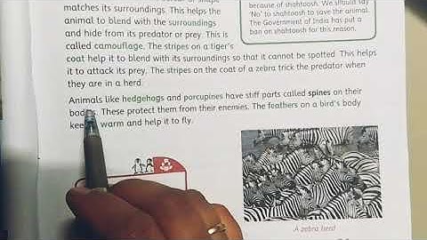 Class-4th,subject-EVS,Chapter-7 (The animal world)