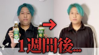 1週間ヘルシア&特茶を飲み続けたら何キロ痩せる？ #Shorts