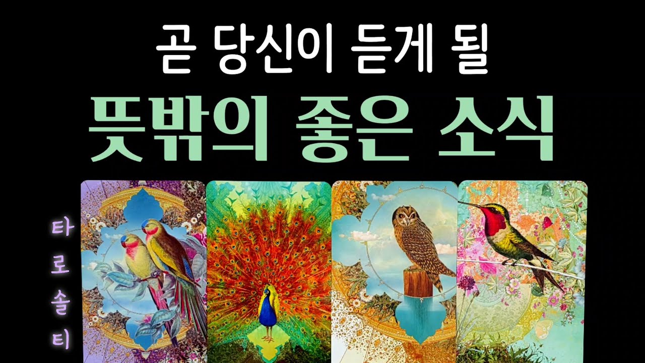 [타로카드/종합운] 곧 당신이 듣게 될 ‘뜻밖의 좋은 소식’ (+ 변화 예측 / 시기별 흐름 / 현실적 대처 조언)
