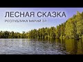 Озеро &quot;Лесная Сказка&quot;, п. Сурок, Марий Эл