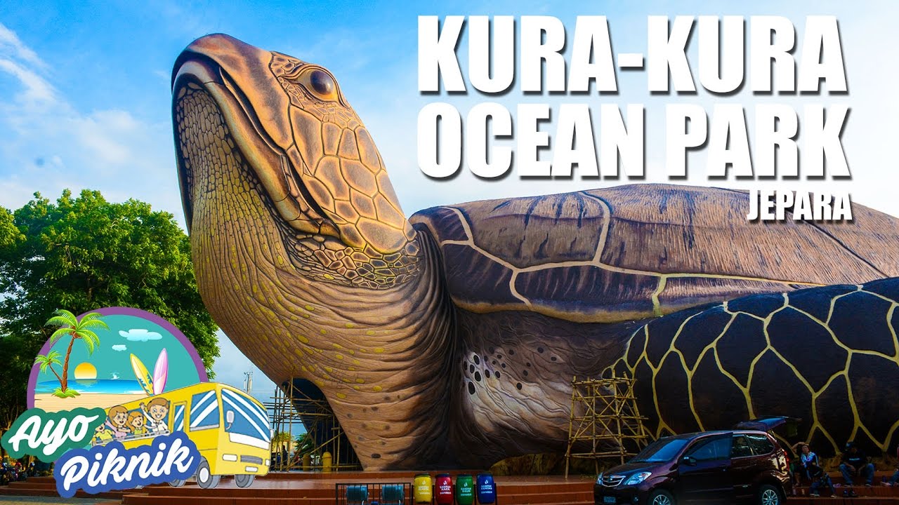 Yuk Ngintip Kura Kura Raksasa Ocean Park Youtube