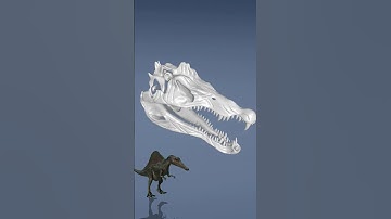 Skull to skull || #shorts #animals  #animation
