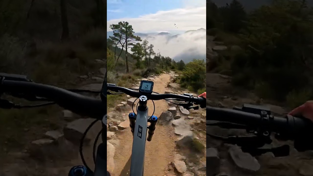 MORNING RIDE THROUGH THE MIST | MOUNTAIN BIKE POV  