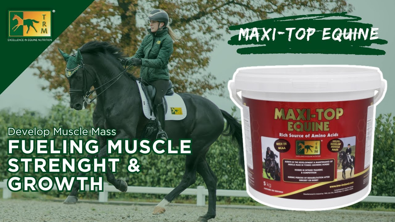 Maxi Top Equine - Significant Source of Amino Acids