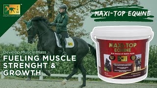 Maxi Top Equine - Significant Source Of Amino Acids