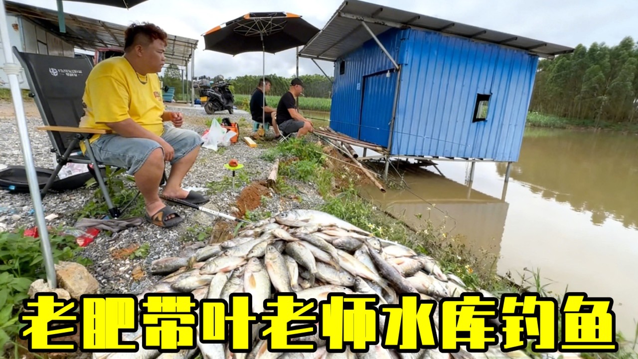 老肥带叶老师来水库钓鱼，强子是另一队，老肥这边鱼大爆户真过瘾！【农人老肥】