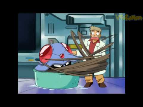 Tentacruel Attacks Professor Oak Professor Oak Funny Moments 