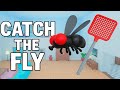 CATCH THE FLY... (Wardrobe Airlines ✈️)