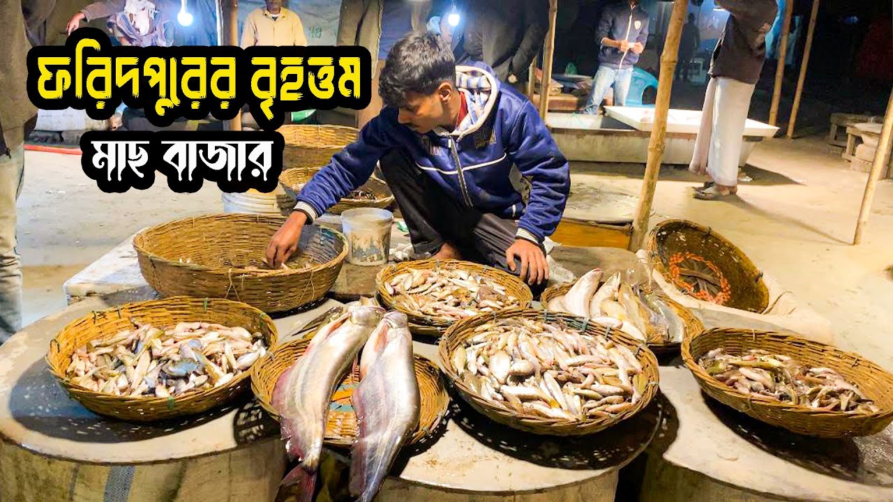 Fish Market Rajh ফরিদপুরের বৃহত্তম মাছ বাজার 😮😮|| Fish market || Seafood Market Daily ...