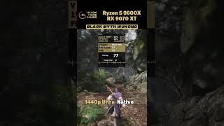 RX 9070 XT +1440p Ryzen 5 9600X  Black Myth WuKong