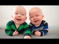 TWIN BABIES - Best Videos Of Cute Twin Babies And Funny Twin Babies Compilation || BABY VIDEOS