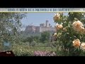 Assisi, il roseto della Porziuncola di San Francesco