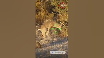 30-30 LEVITATING FACE PLANT❌ #scopecam #shorts #deerhunting #viral #gunops #caceria #bigbuck