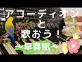 アコーディオンと歌おう!早春賦