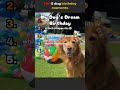 TOP 5 dogs birthday💕🤔😁#funny#pets#petsrule#memes#dog #puppy#doglife#doglife#petlife#viral#birthday