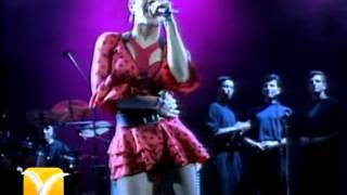 Mecano, Una rosa es una rosa, Festival de Viña 1992 chords