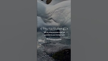 عبد الرحمن مسعد 😌 قل أرأيتم ما أنزل الله لكم من رزق {59} سورة يونس / Surah Yunus Ayah {59}