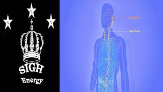 Vagus Nerve Healing and Stimulation  EXTREMELY POWERFUL!!! (Energetically Programmed)