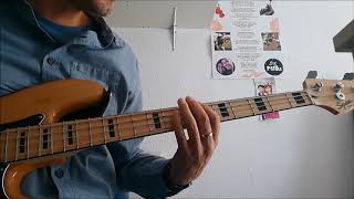 Video thumbnail of "Por la boca vive el pez bass cover."