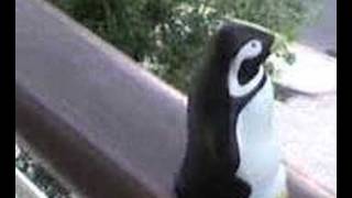 Suicide Penguin