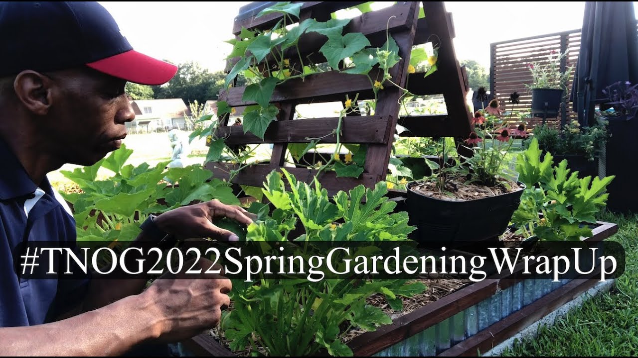 Mid-Summer Garden Update! (