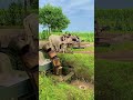 Low Grade Fatest Irrigation Machine Operating With Bull #shortsfeed #shortvideo #shorts