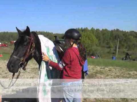 State 4-H Horse Trail Ride Ohio 2010 at AEP ReCreation Land