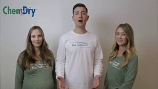 Chem-Dry San Antonio's Allergen Study Explanation