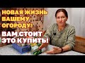 СРОЧНО КУПИТЕ ЭТИ СЕМЕНА! УВЕЛИЧИВАЕМ УРОЖАЙ ВОССТАНАВЛИВАЕМ ПОЧВУ